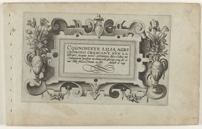 Strona tytułowa i jedenaście odbitek kwiatów, roślin i owoców Kartusz z ramą scrollwork do serii: Cognoscite lilia Cognoscite lilia (tytuł serii na obiekcie) autorstwa Crispijn van de Passe (I) (attributed to)