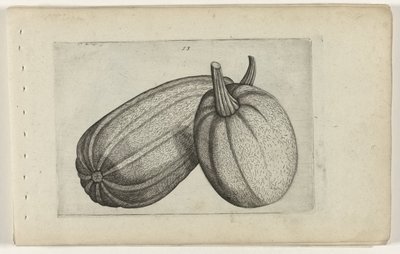 Dwa melony Poznaj lilie (tytuł serii) autorstwa Crispijn van de Passe (I) (attributed to)