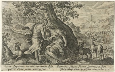 Apollo i Hiacynt Metamorfosen van Ovidius (tytuł serii) autorstwa Crispijn van de Passe (I)