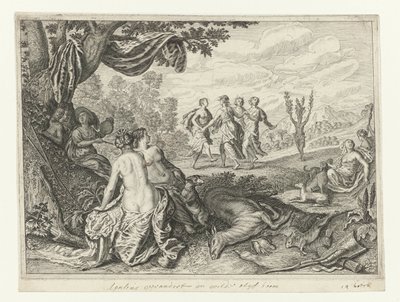 Owczarek Apulijski zamienił się w drzewo oliwne Metamorfozy Owidiusza (tytuł serii) autorstwa Crispijn van de Passe (II) (workshop of)