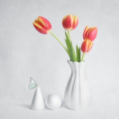 Wiosenne tulipany i motyl autorstwa Cristiano Giani