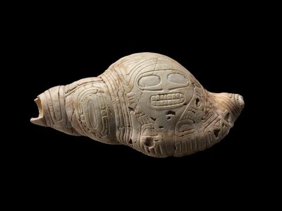 Rzeźbiona muszla muszli autorstwa Culture Taino