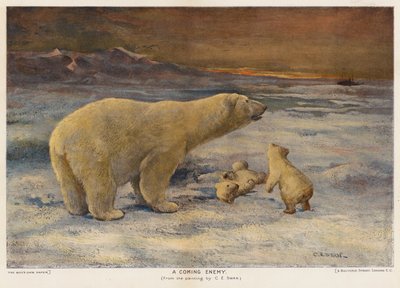 Nadchodzący wróg (kolor lito) autorstwa Cuthbert Edmund Swan