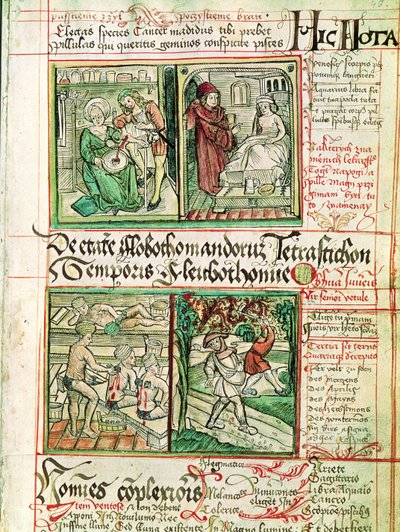 Jak leczyć choroby, z Tractatus de Pestilencia autorstwa Czech School