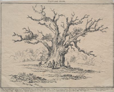 Dąb Fairlop autorstwa D. H. Redman