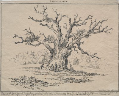 Dąb Fairlop, 1811. autorstwa D. H. Redman