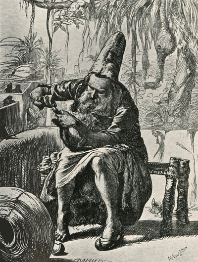 Derwisz zrywa włosy z ogona kota, 1906. autorstwa Dalziel Brothers