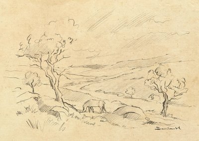 Kuc z Dartmoor autorstwa Dan Hobday