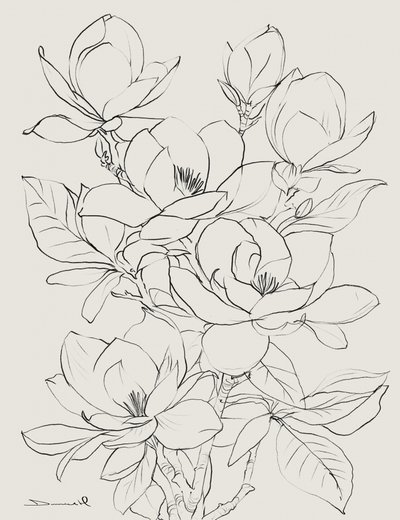 Drzewo magnolii autorstwa Dan Hobday