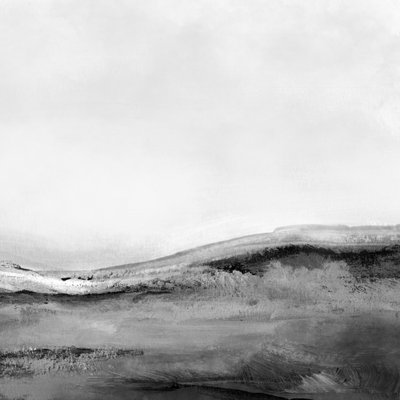Pejzaż monochromatyczny nr 2 autorstwa Dan Hobday