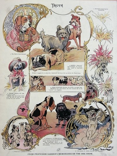 Beztroskie i humorystyczne przedstawienie psów na wystawie autorstwa Daniel Carter  Beard