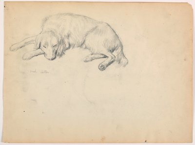 Rysunek, Dash (seter), ok. 1862 r. autorstwa Daniel Huntington