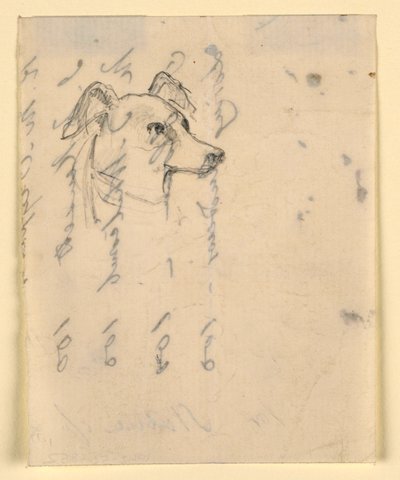 Rysunek, głowa psa, prawdopodobnie Milo (pointer), ok. 1862 r. autorstwa Daniel Huntington