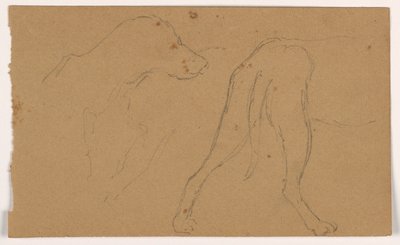 Rysunek, Milo (pointer), głowa i ciało, ok. 1862 r. autorstwa Daniel Huntington