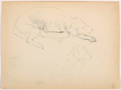 Rysunek, Milo (pointer), dwa studia, ok. 1862 r. autorstwa Daniel Huntington