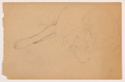 Rysunek, Miol (pointer), ok. 1862 r. autorstwa Daniel Huntington