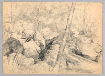 W pobliżu wodospadów Wildcat Brook, Jackson, New Hampshire autorstwa Daniel Huntington
