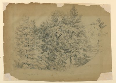 Studium Drzew, North Conway, New Hampshire autorstwa Daniel Huntington