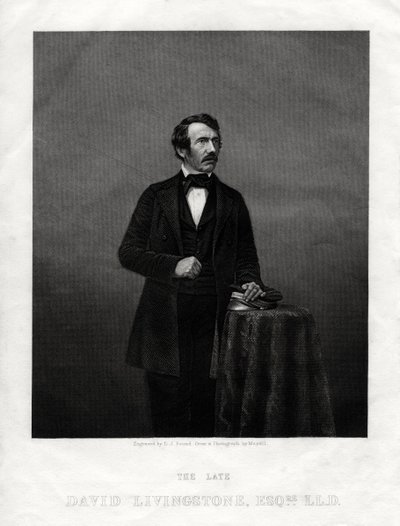 David Livingstone, szkocki misjonarz i afrykański odkrywca, 1880 autorstwa Daniel John Pound