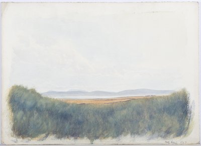 Święta Wyspa, 1893 (ołówek i wc na papierze) autorstwa Daniel Oliver