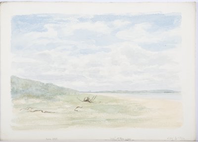 Święta Wyspa, 1899 (ołówek i wc na papierze) autorstwa Daniel Oliver