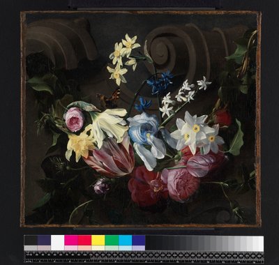 Feston kwiatów, przed 1661 autorstwa Daniel Seghers