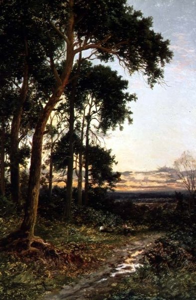 Leśna ścieżka autorstwa Daniel Sherrin