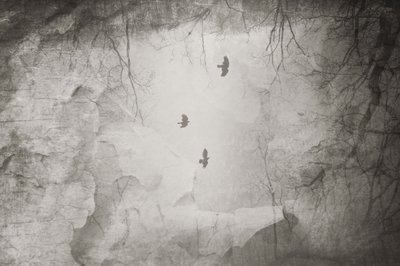  autorstwa Daniela Riegler