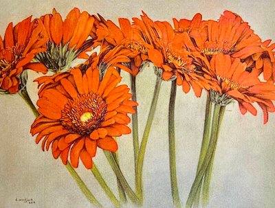 Orange Burst, 2019 (ołówek, akryl na papierze) autorstwa Darrell Windjack