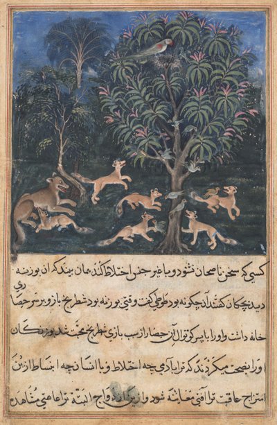 Strona z Opowieści papugi Tuti-nama: Piąta noc: Papuga matka ostrzega..., c. 1560. autorstwa Daswanth