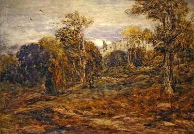Wieża Bardena autorstwa David Cox