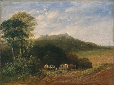 Zamek Dudley; 1853 (olej na płótnie) autorstwa David Cox