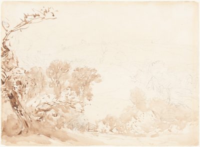 Zbocze wzgórza i drzewa autorstwa David Cox