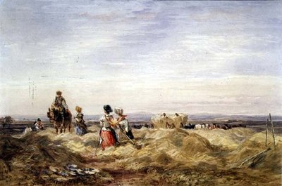 W Hayfield (akwarela) autorstwa David Cox