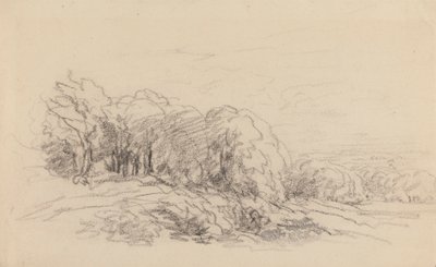 Krajobraz z drzewami autorstwa David Cox