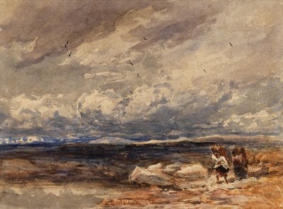 Na mchu Carrington autorstwa David Cox