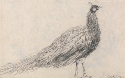 Paw w Capel Curig autorstwa David Cox