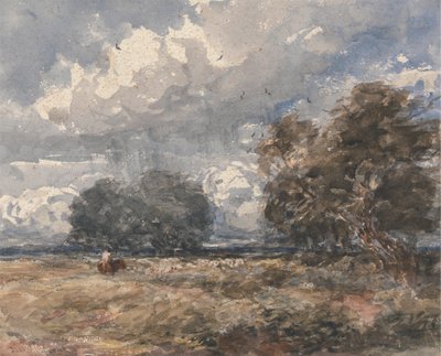 Pasterstwo stada, wietrzny dzień autorstwa David Cox