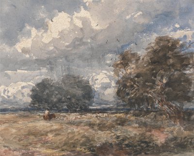 Pasterz trzody, wietrzny dzień autorstwa David Cox