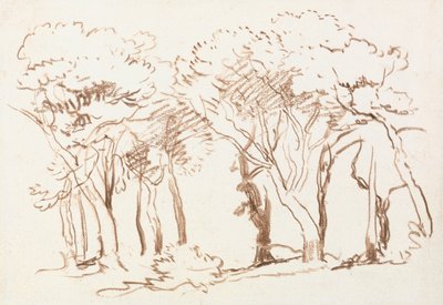 Badanie drzew autorstwa David Cox