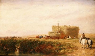 Hayfield autorstwa David Cox