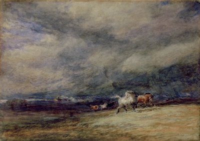 Nocny pociąg autorstwa David Cox