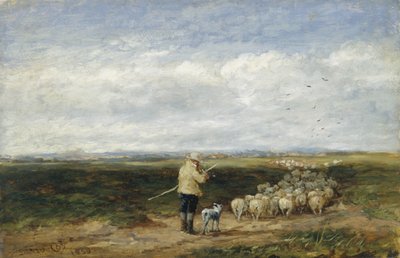 Paimen, Flockpolishin paluu autorstwa David Cox