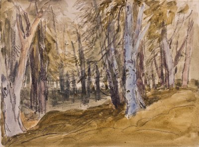 Drzewa na Box Hill (węgiel drzewny i wc na papierze) autorstwa David Cox