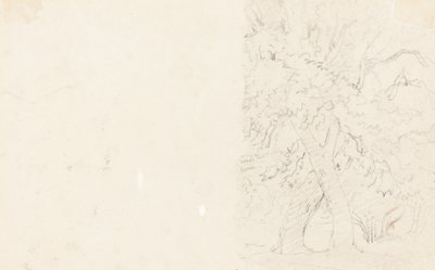 Drzewa [verso] autorstwa David Cox