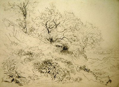 Pejzaż walijski (kreda na papierze) autorstwa David Cox