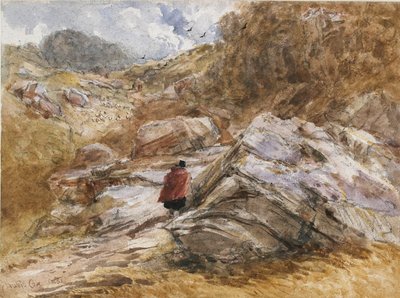 Przełęcz górska w Bettws-y-Coed, 1851 autorstwa David Cox the elder