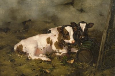 Cielęta, ok. 1900 (olej na płótnie) autorstwa David Gauld
