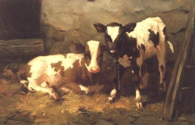 Cielęta w stodole autorstwa David Gauld