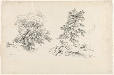 Kasztan i Sosna, 1869. autorstwa David Johnson